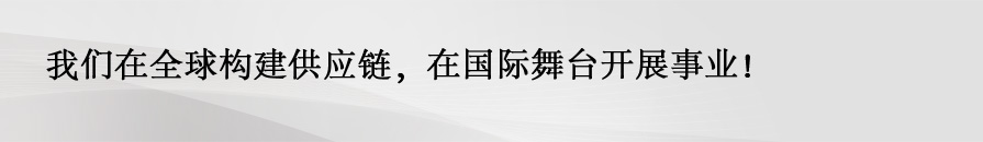 我们在全球构建供应链，在国际舞台开展事业！