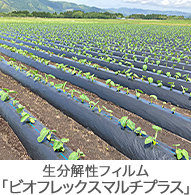 用途に応じた農業資材を 生分解性フィルム「ビオフレックスマルチプラス」