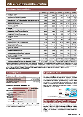 Data Version (Financial Information)