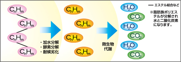 生分解性プラスチックの分解メカニズム