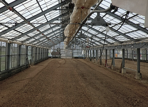 Greenhouse after spraying