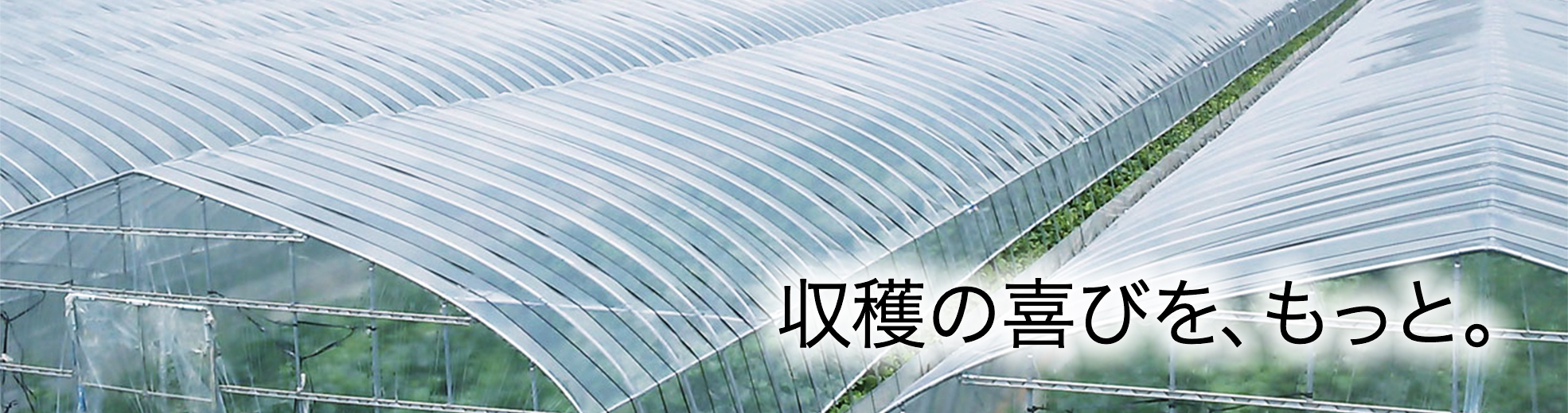 施設園芸資材 | 農業・畜産 | アキレス株式会社