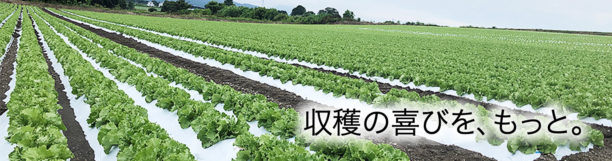 施設園芸資材 | 農業・畜産 | アキレス株式会社