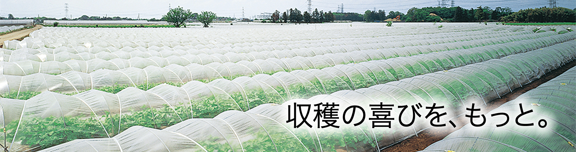 施設園芸資材 | 農業・畜産 | アキレス株式会社