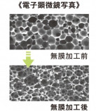 電子顕微鏡写真