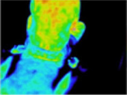 ThermoPhase（サーモフェ－ズ）