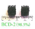 BCD-2（98％）