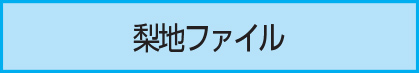 梨地ファイル
