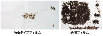 左「 防虫タイプフィルム」右「透明フィルム」