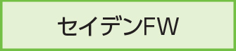 セイデンFW