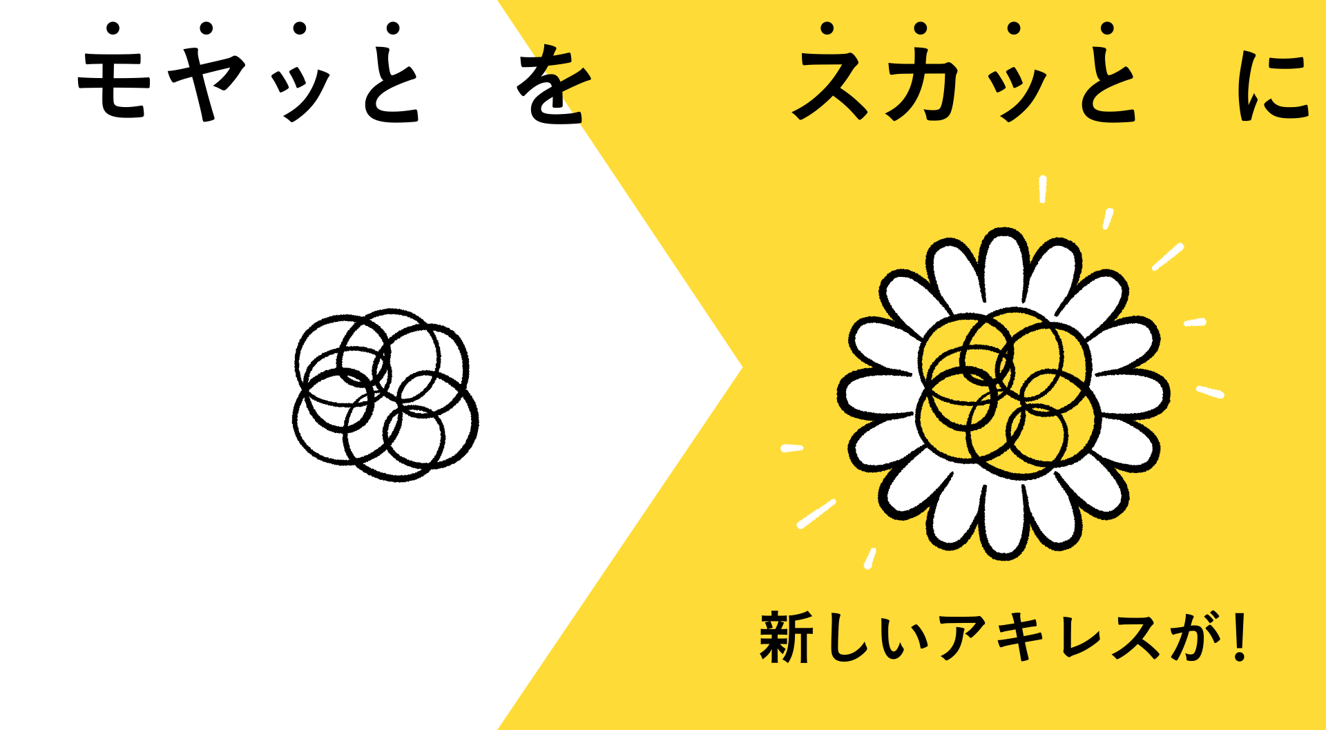 動画が再生できません